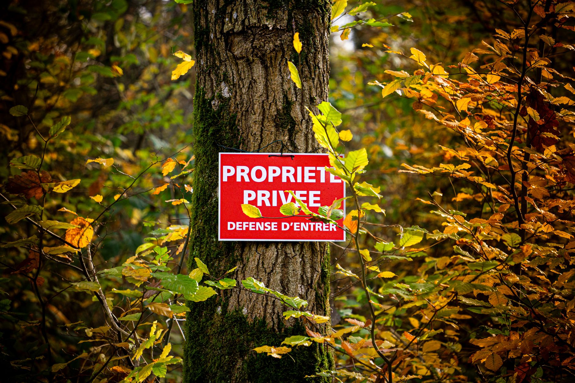 Détective privé à Pau